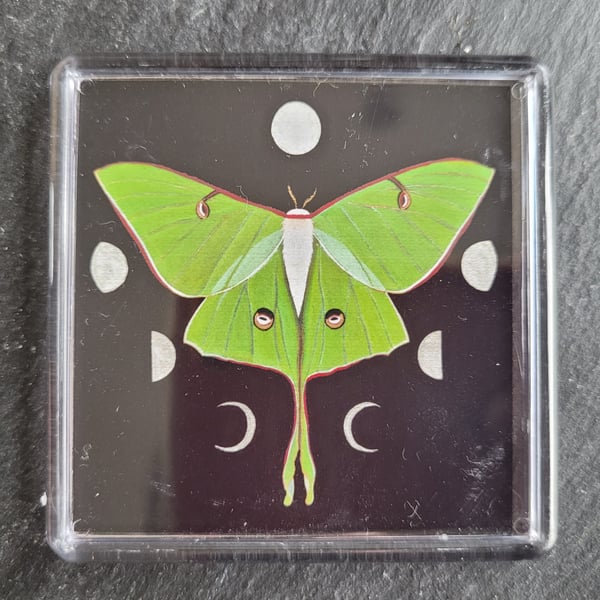 Luna Moth Magnet