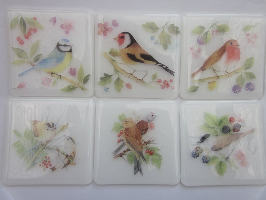  RESERVED set of 6 glass bird coasters