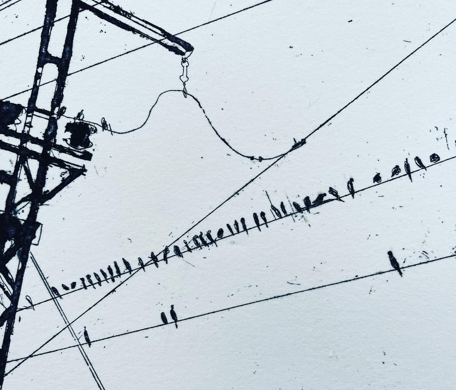 Birds, black & white etching with aquatint Indian Railway series