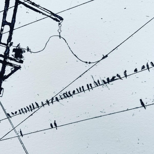 Birds, black & white etching with aquatint Indian Railway series