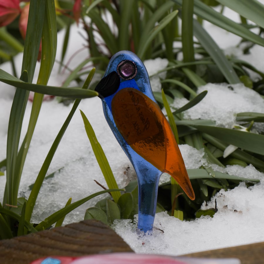 Translucent Blue and Orange Pot Parrot in Fused Glass - 6102