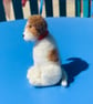 Jack Russell - Image 2