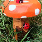 Orange spotty Toadstool