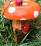 Orange spotty Toadstool