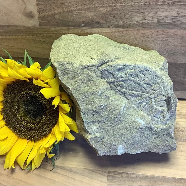 Saxon Penny 'coin in clod' stone carving -  metal detecting gift