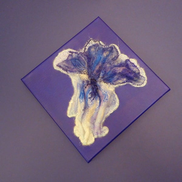 Blue iris