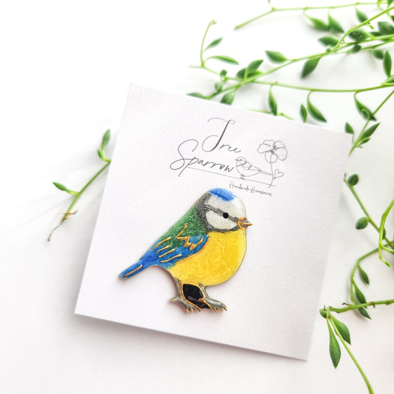 Hand-painted Bird Brooch