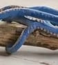 Blue Octopus Sculpture on Long Devon Driftwood — Handmade Clay - Image 3
