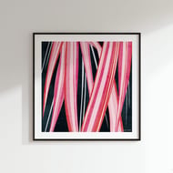 Spider Plant Chlorophytum comosum Vittatum Botanical Square Art Print