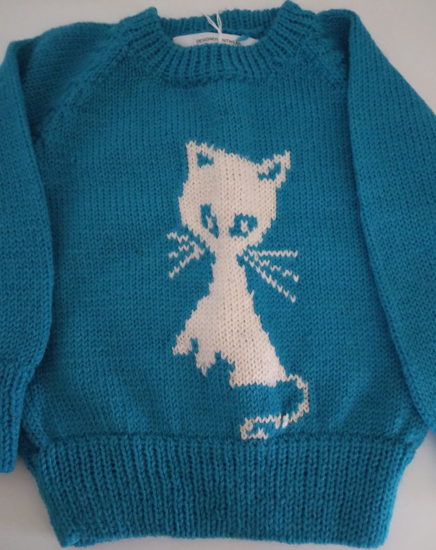 Turquoise baby jumper with a cat motif. Age 3-6 months. Seconds Sunday