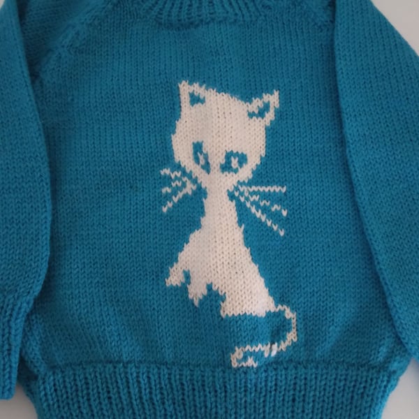 Turquoise baby jumper with a cat motif. Age 3-6 months. Seconds Sunday