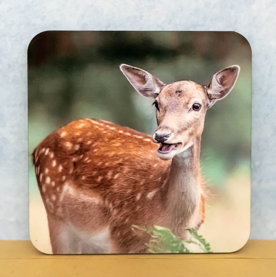 Coaster - Fallow Deer