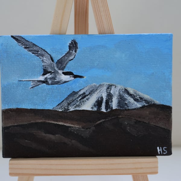 Sandwich Tern Mini Painting with Errigal in the background 