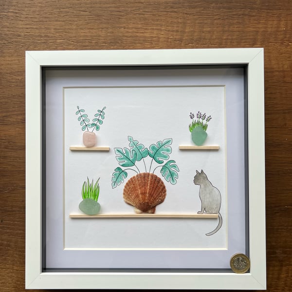Sea glass, plants, shells and cat on shelves