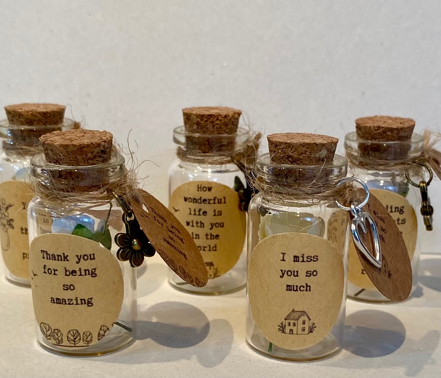 Heartfelt Wishes and Sentiments Miniature Glass Bottle Gift