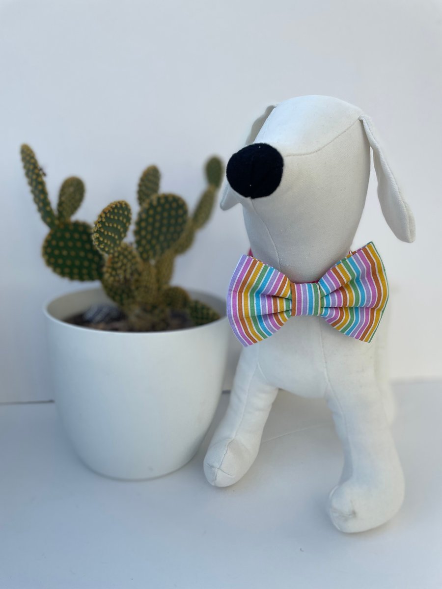 Multi Colour Stripe Dog Bow Tie 