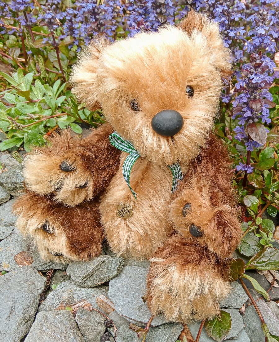 'Button'. A bear with a special message in a bottle.