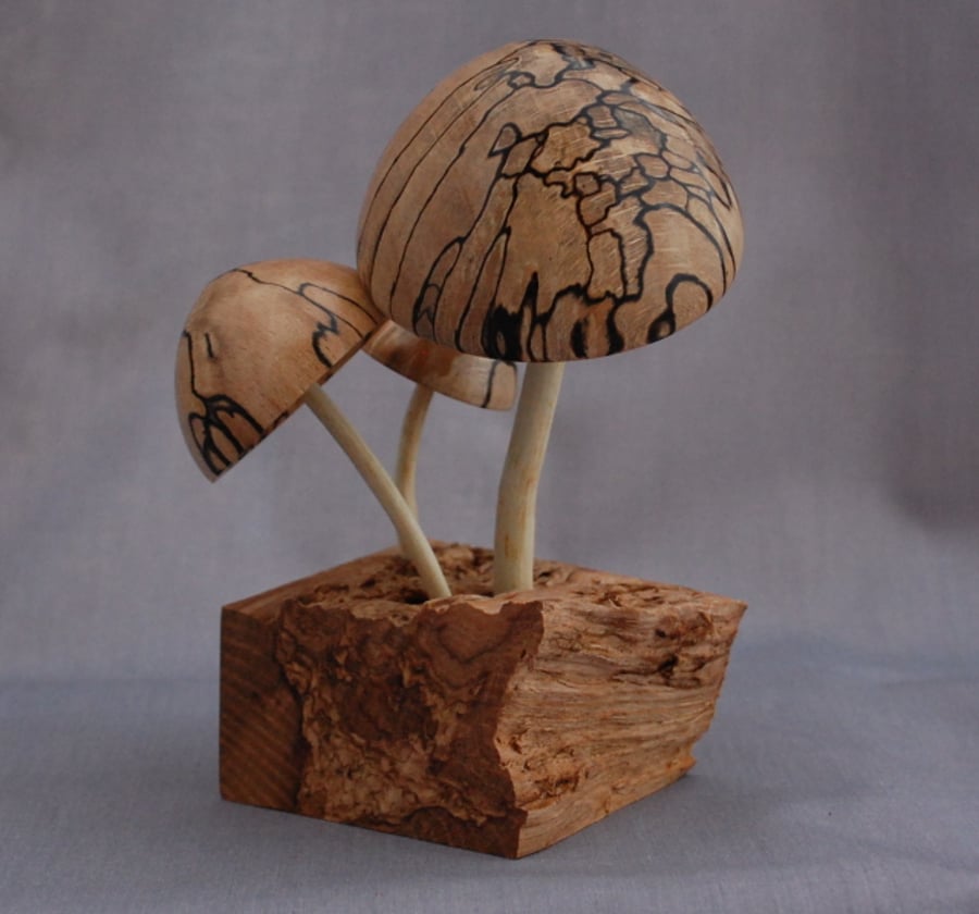 Mushroom Sculpture in 3 Woods