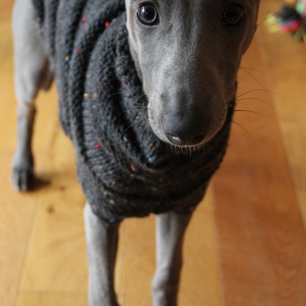 Custom Order for Binky - Hettie Whippet Armadillo Puppy Jumper