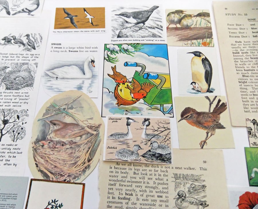 Paper Ephemera Pack - Birds - Craft Supplies