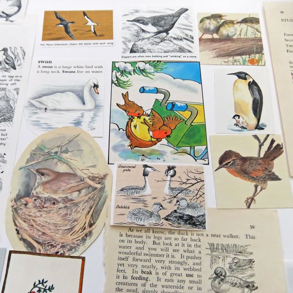 Paper Ephemera Pack - Birds - Craft Supplies