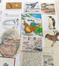 Paper Ephemera Pack - Birds - Craft Supplies - Image 1