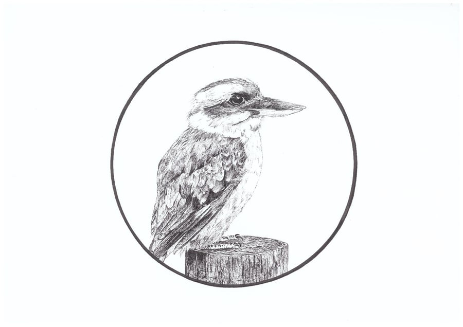 A4 PRINT of  Kookaburra in Pen and Ink