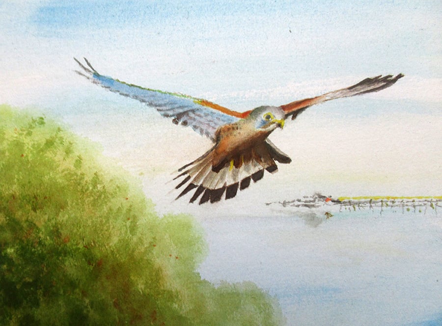  Flight Over Weston-Super-Mare, Somerset,  A Giclee print also available