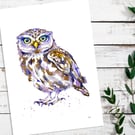 Little Owl giclée print of original watercolour painting, high quality art print
