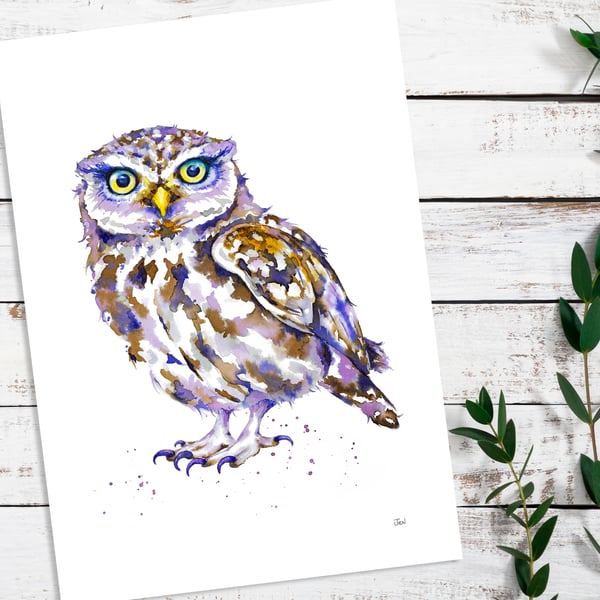 Little Owl giclée print of original watercolour painting, high quality art print