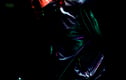 Music Artists Concerts Photographs Prints