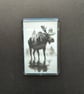 Moose Forest Fridge Magnet – Wildlife Double Exposure Art – Monochrome Nature