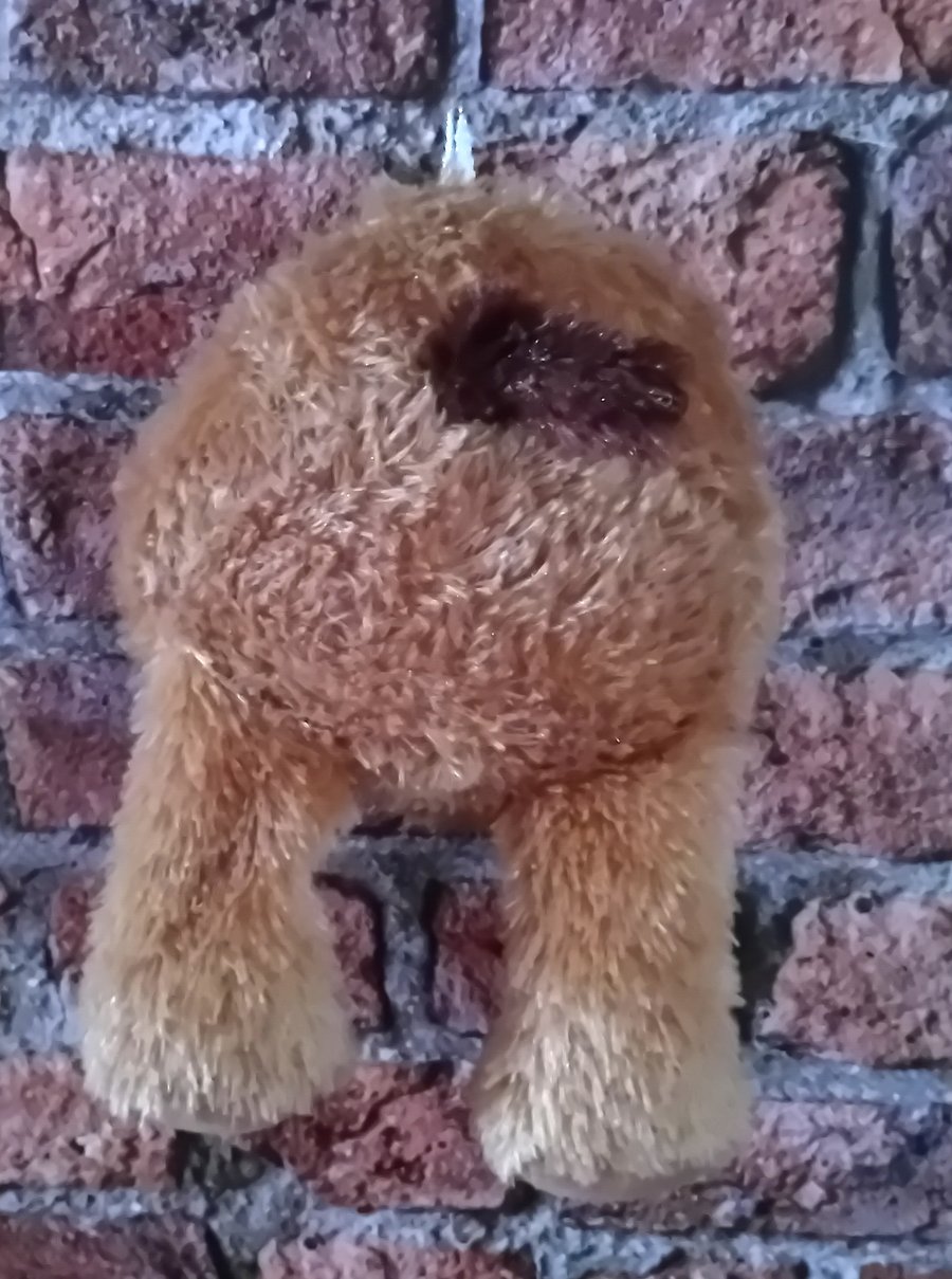 Dog Butt Wall Decoration - Faux Taxidermy Clearance