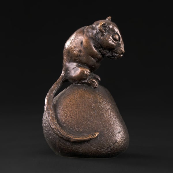 Foundry Bronze Dormouse Sitting on Stone Animal Statue Small Bronze Metal Statue