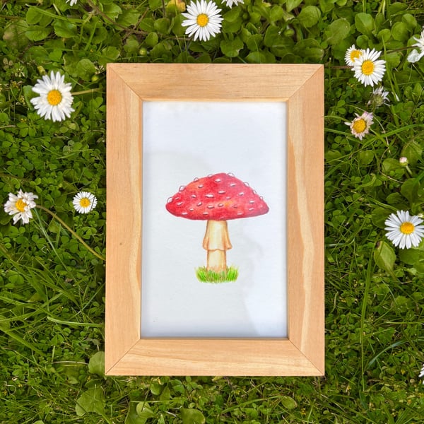 Toadstool - Original Watercolour Pencil Painting Illustration
