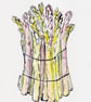 French asparagus print