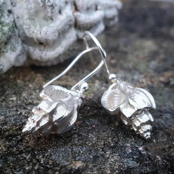 Winkle Shell Earrings 