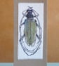 Unique Hand Made Beetle Card with Envelope - Image 2