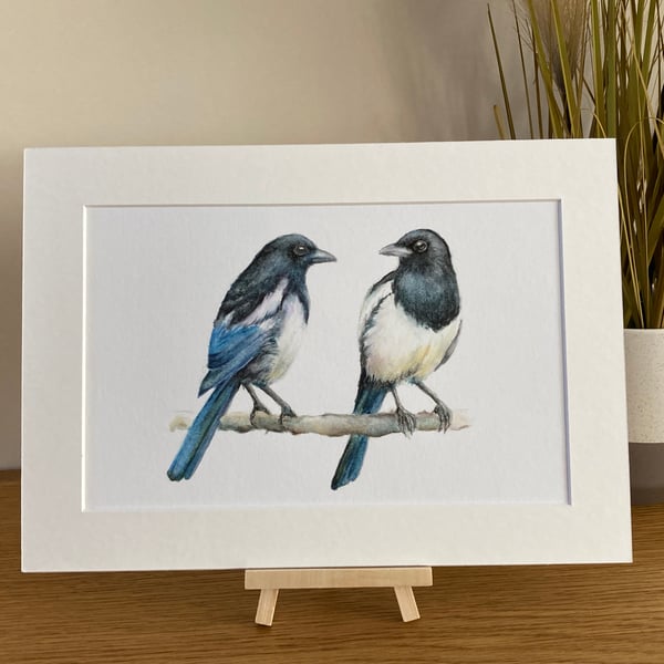 Magpie mounted print, bird wildlife art from original watercolour painting