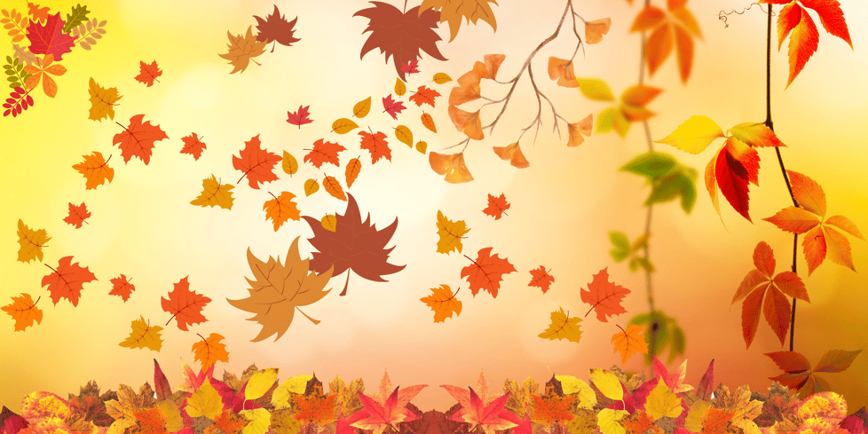 Toadstools & Pumpkins