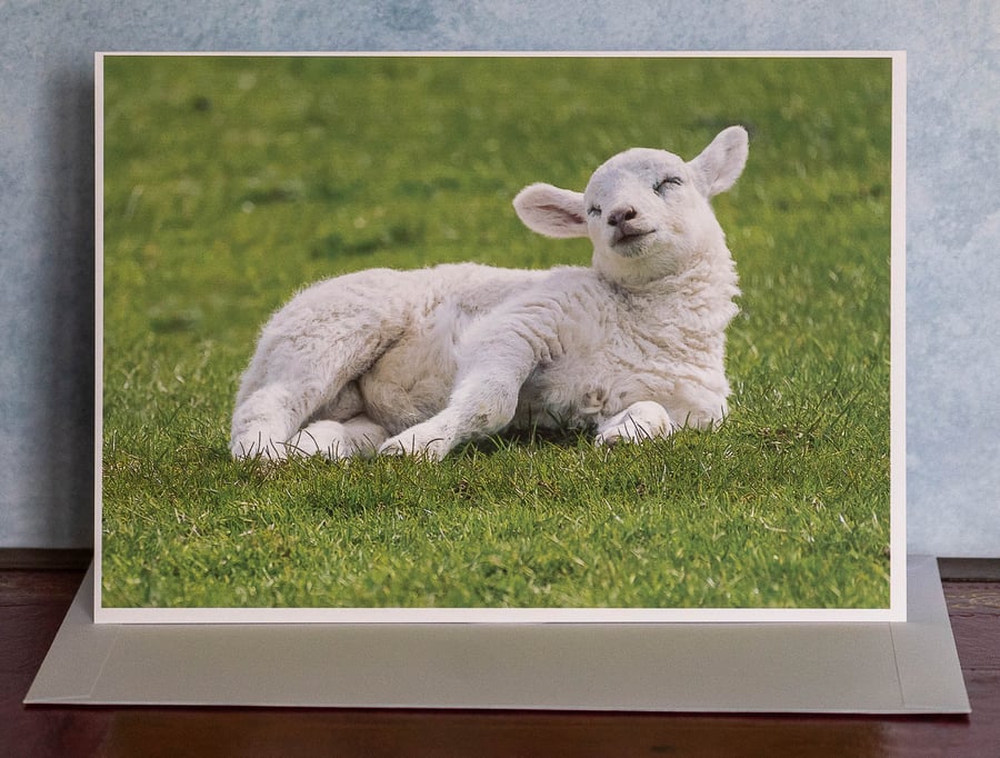 Sleepy Lamb Ethically Made A5 Blank Greeting Card
