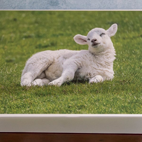 Sleepy Lamb Ethically Made A5 Blank Greeting Card