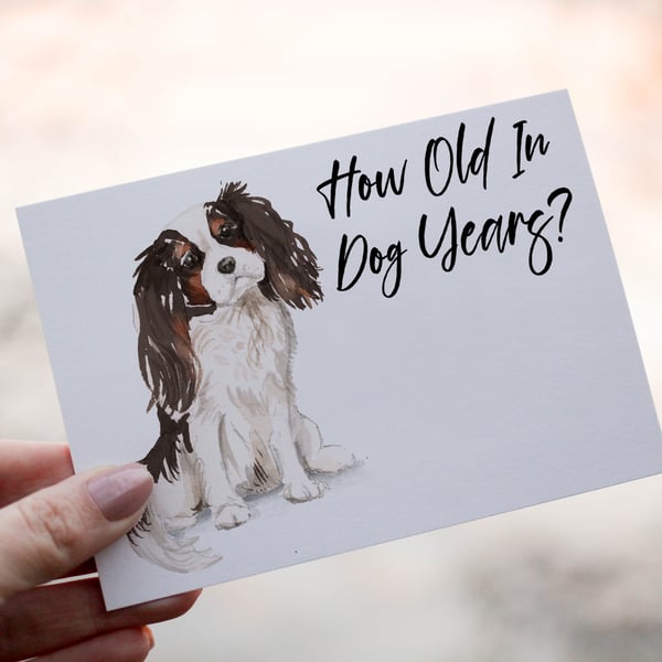 Cavalier King Charles Spaniel Dog Birthday Card, Dog Birthday Card, Personalized