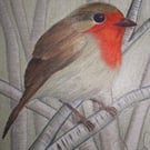 Greetings Card Bundle - Birds