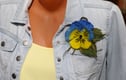 Handmade Felted Wool  Brooches