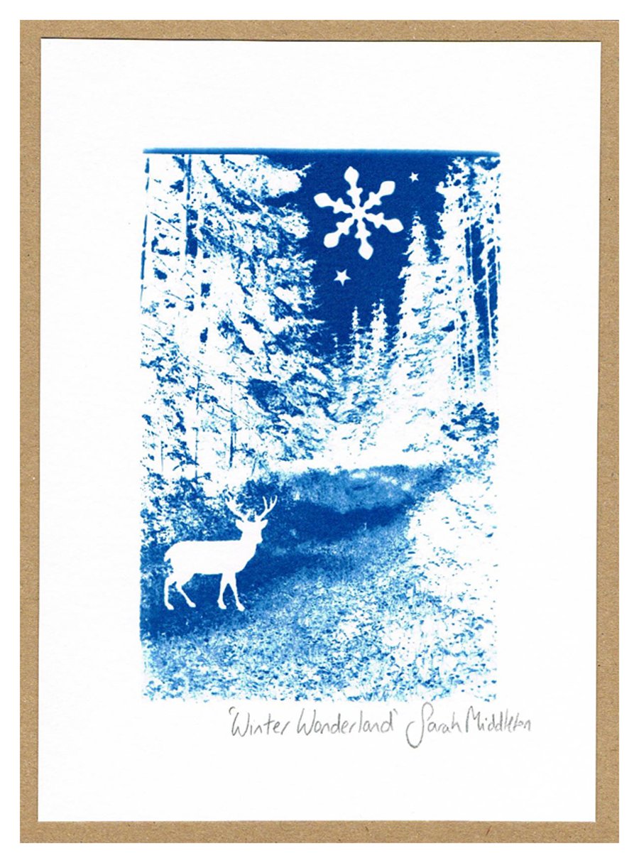 SALE - Winter Wonderland Cyanotype 