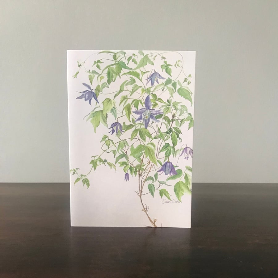 Pack of x5 Clematis Greetings Cards, Watercolour Prints. Blank Inside