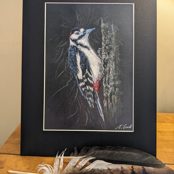 Woodpecker, an A4 mounted print of an original drawing