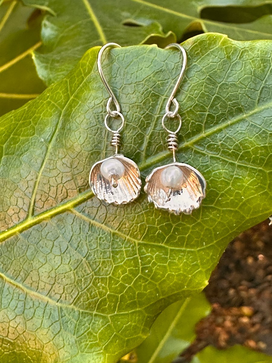  Ocean Whisper – Fine Silver Cockle Shell & Pearl Earrings