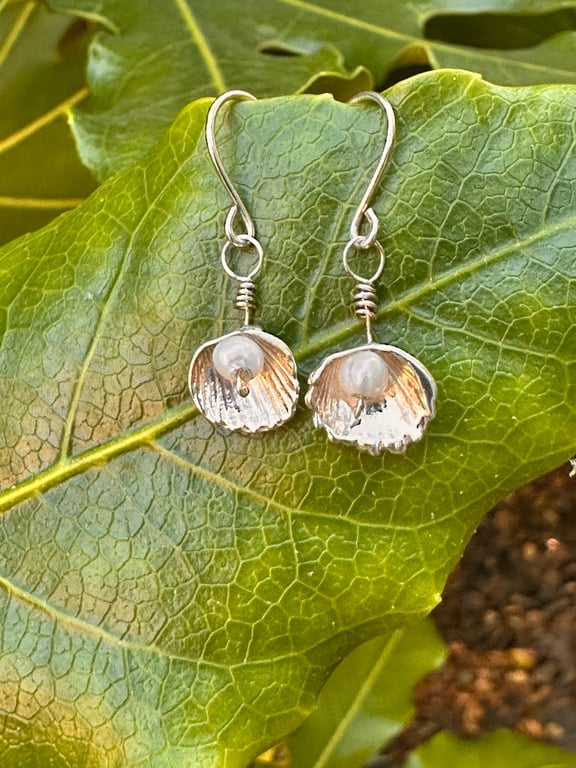 Ocean Whisper – Fine Silver Cockle Shell & Pearl Earrings